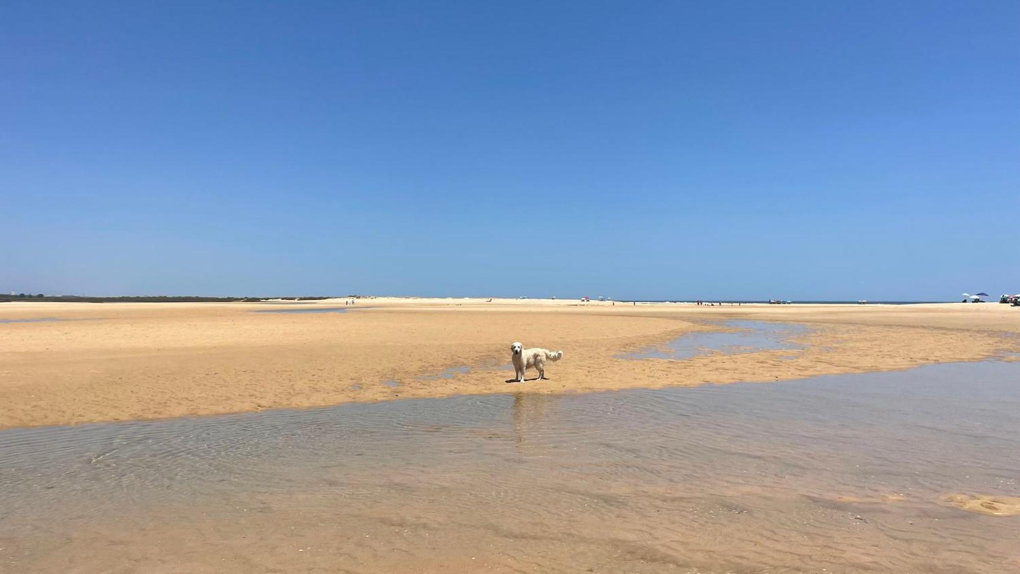 Вилла Dona Maria 66 Praia Da Luz Экстерьер фото